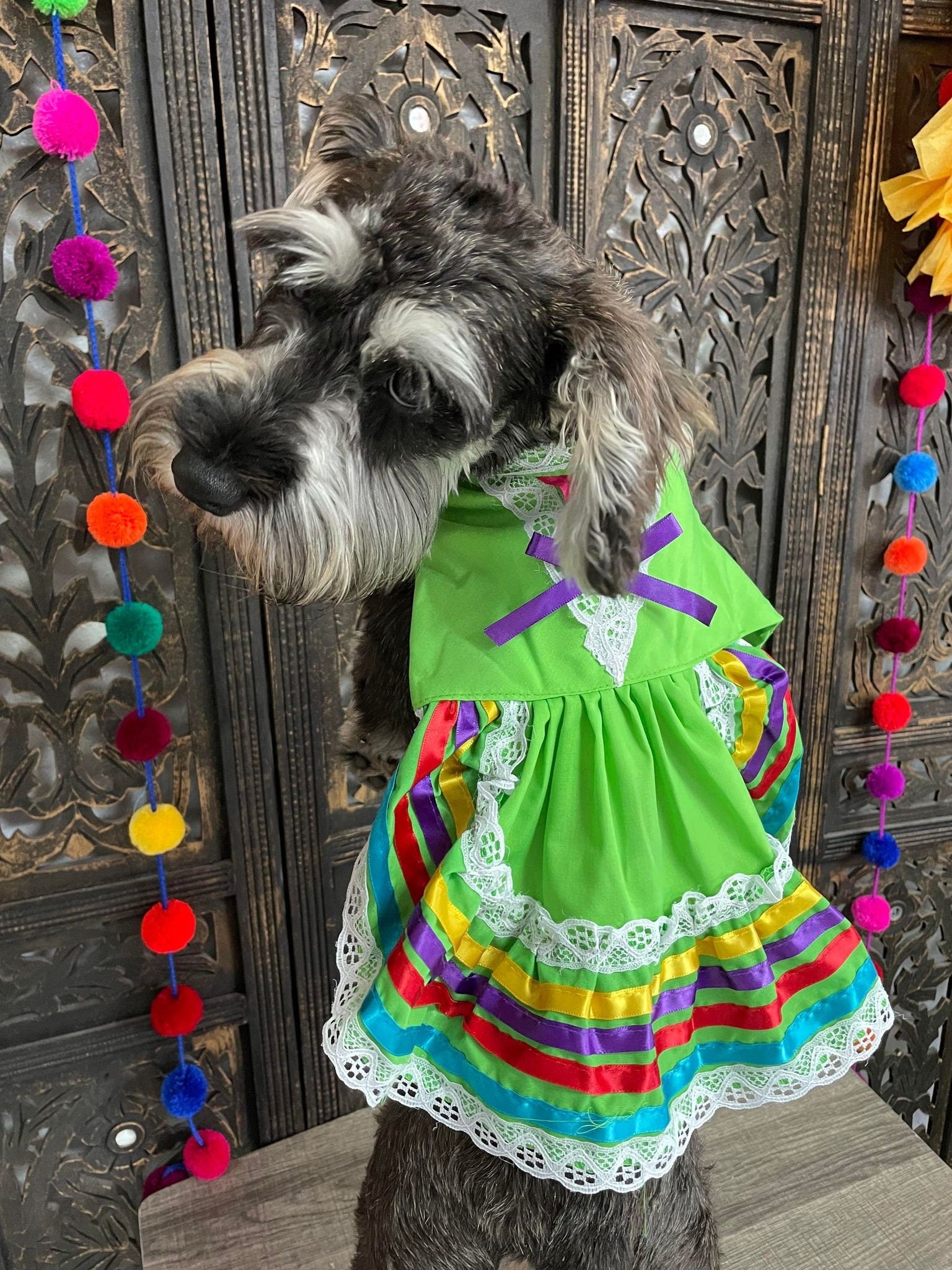 Colorful Handmade Jalisco Ribbon Dress for Small Pets - Perfect Pet Fashion Statement