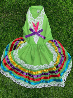 Image of Colorful Handmade Jalisco Ribbon Dress for Small Pets - Perfect Pet Fashion Statement