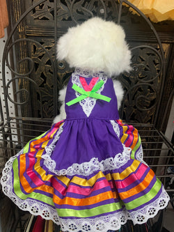 Image of Colorful Handmade Jalisco Ribbon Dress for Small Pets - Perfect Pet Fashion Statement